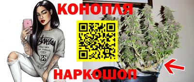 прущие грибы Пугачёв