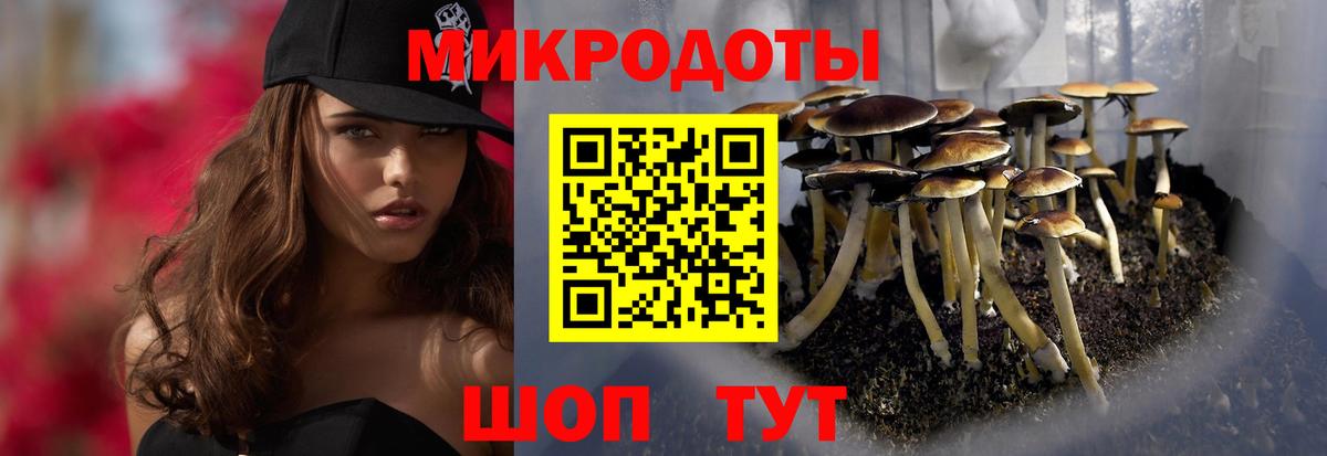 Галлюциногенные грибы мицелий Рязань